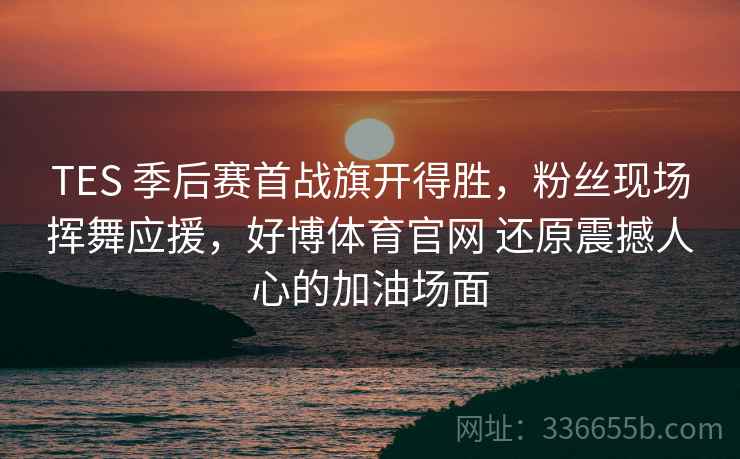 TES 季后赛首战旗开得胜，粉丝现场挥舞应援，好博体育官网 还原震撼人心的加油场面