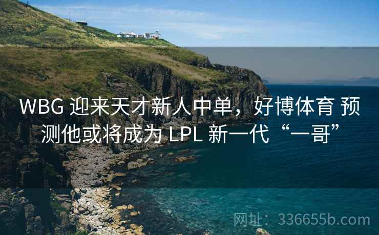 WBG 迎来天才新人中单，好博体育 预测他或将成为 LPL 新一代“一哥”