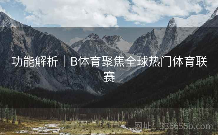功能解析｜B体育聚焦全球热门体育联赛