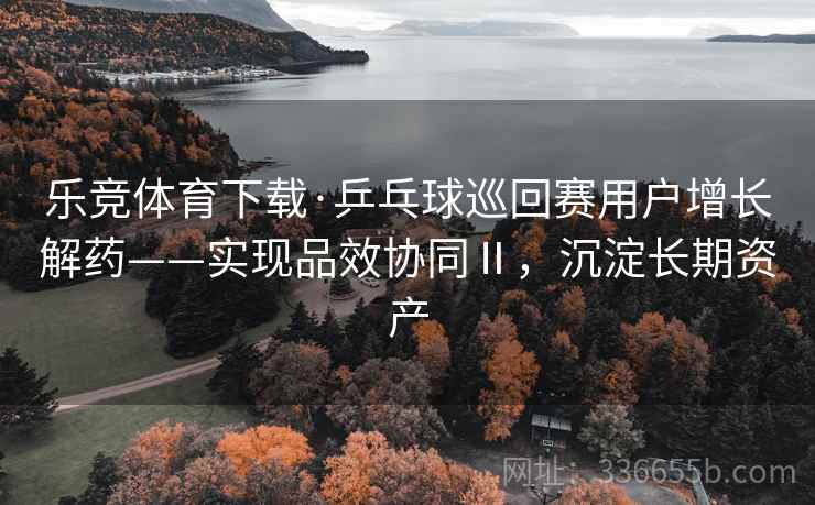 乐竞体育下载·乒乓球巡回赛用户增长解药——实现品效协同Ⅱ，沉淀长期资产