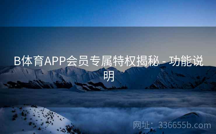 B体育APP会员专属特权揭秘 - 功能说明