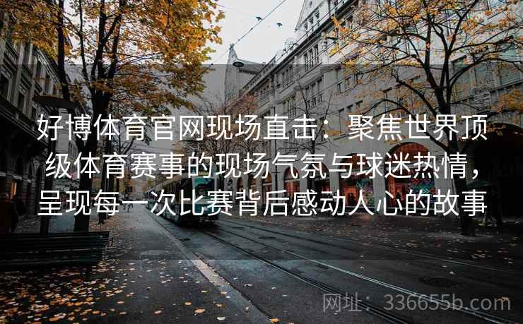 好博体育官网现场直击：聚焦世界顶级体育赛事的现场气氛与球迷热情，呈现每一次比赛背后感动人心的故事