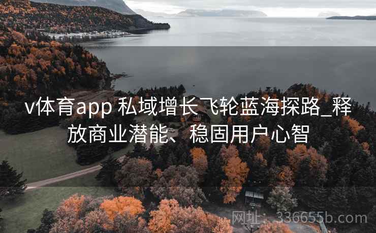 v体育app 私域增长飞轮蓝海探路_释放商业潜能、稳固用户心智
